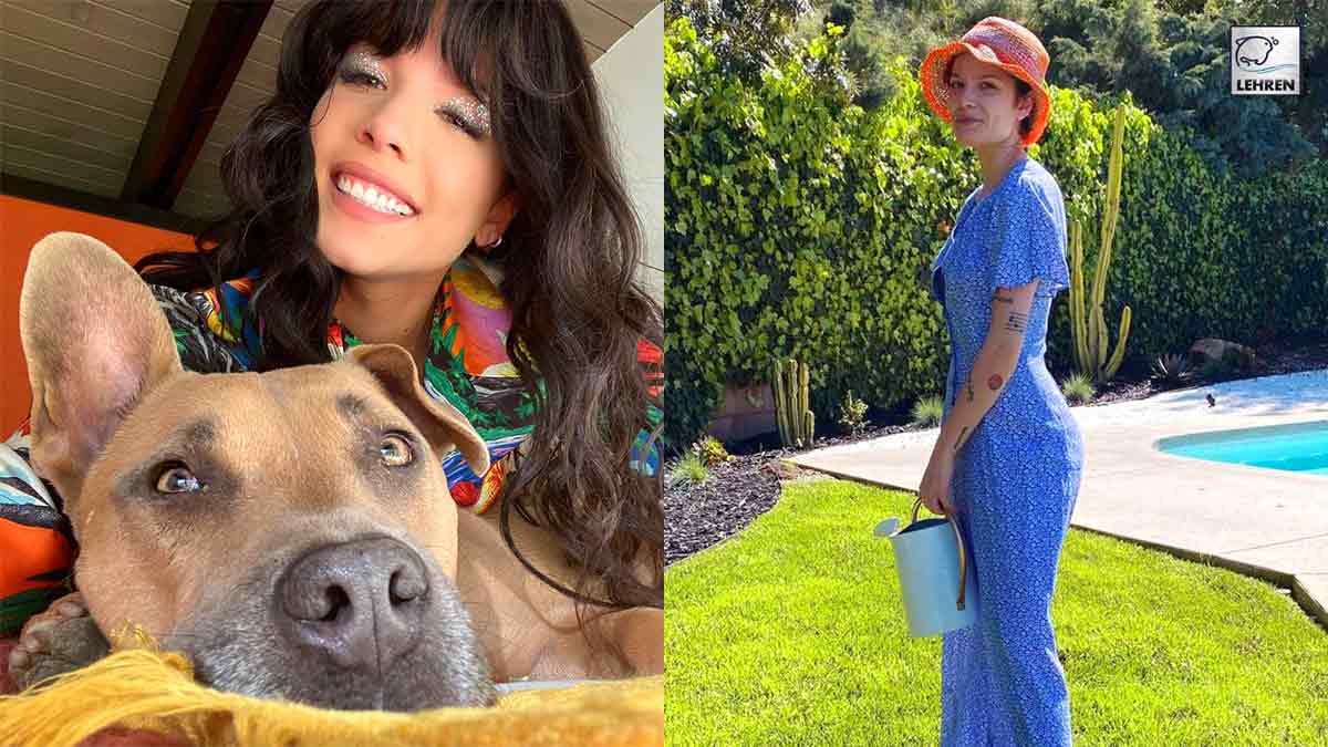 Halsey Reveals 'Worst Week Of Her Life' Following Death Of Her Dog
