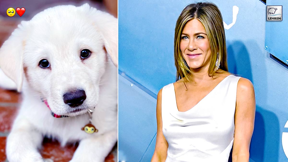 Jennifer Aniston Shares Adorable Snaps Of Dog On National Puppy Day