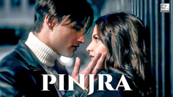 Pinjra Song Out Now: Features Asim Riaz And Himanshi Khurana's Sizzling Chemistry