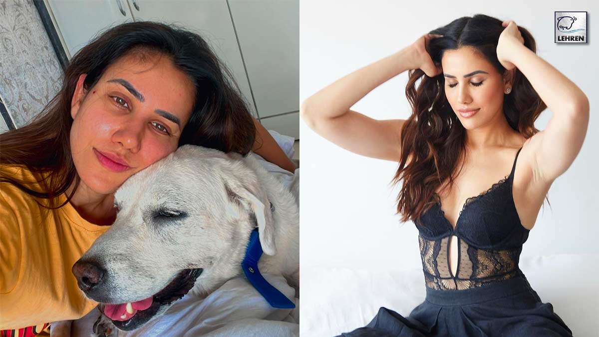 Sonnalli Seygall Tests COVID Positive, Shares Picture From Isolation