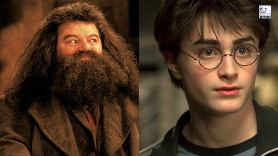 Daniel Radcliffe Mourns The Death Of Harry Potter Co-Star Robbie Coltrane