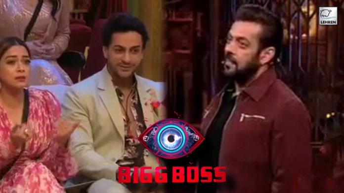 Bigg Boss 16 Public Calls Shalin Tina Relationship Fake