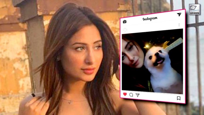 Ex-Bigg Boss 13 Mahira Sharma Posts An Instagram Story; Fans Direct It Toward Paras Chhabra