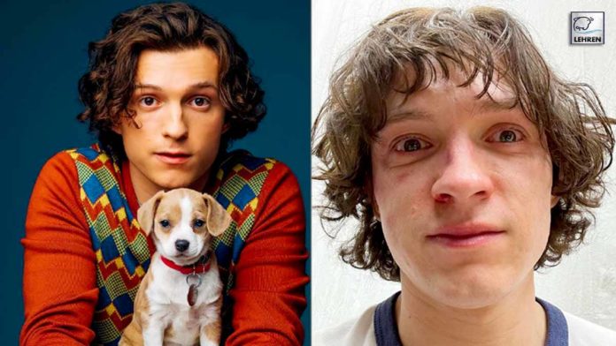 Hollywood Actor Tom Holland Reveals His Alcohol Problem, ‘ I Credit ...