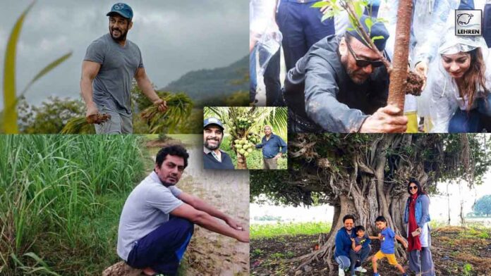 Salman Khan To Jackie Shroff: Stars Who Are As Good At Farming As They Are At Acting